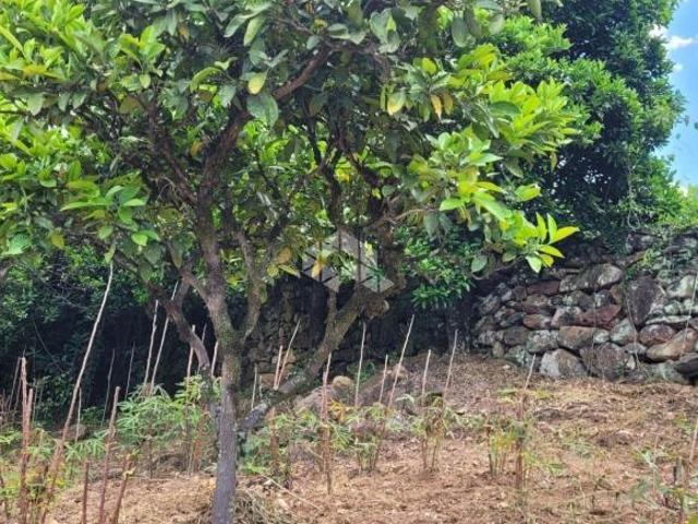 Terreno nos Caminhos Das Pedras