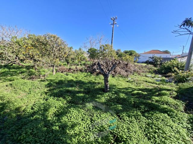 Terreno nos Montes de Alvor para construção urbana