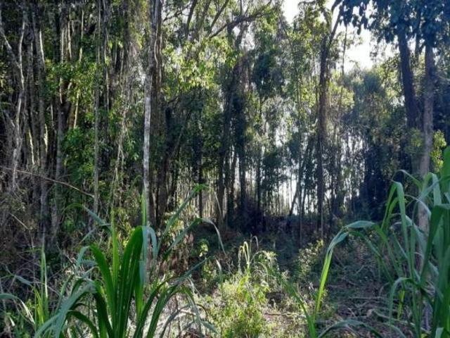 Terreno Nova Petrópolis