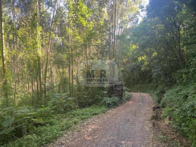 Terreno Nova Petrópolis