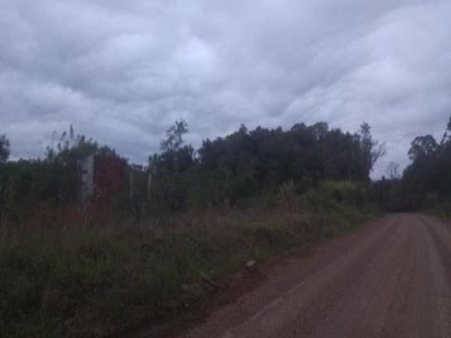 Terreno Nova Petrópolis