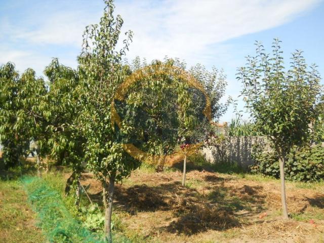 Terreno Ovar