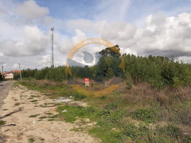 Terreno Construção Ovar