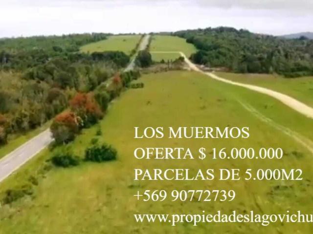 Terreno Oferta Los Muermos $16.000.000 Puerto Montt