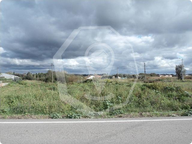 Terreno Oiã Rustico