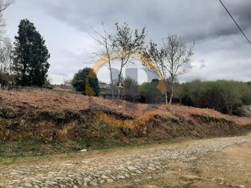 Terreno Oliveira de Azeméis