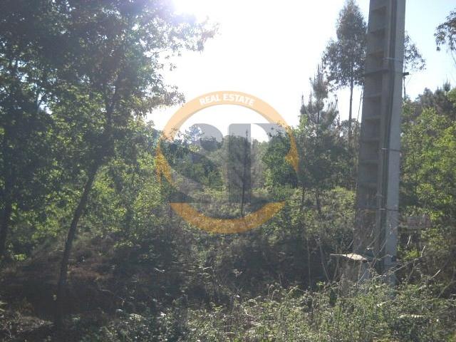 Terreno Oliveira de Azeméis