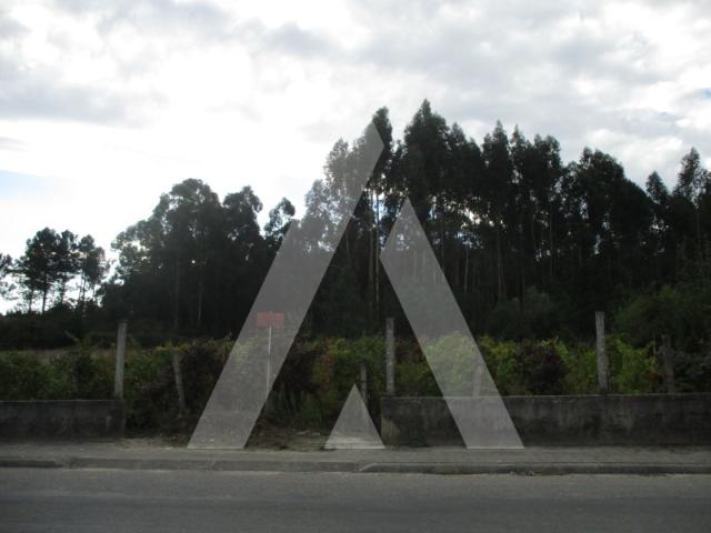 Terreno Oliveira do Bairro