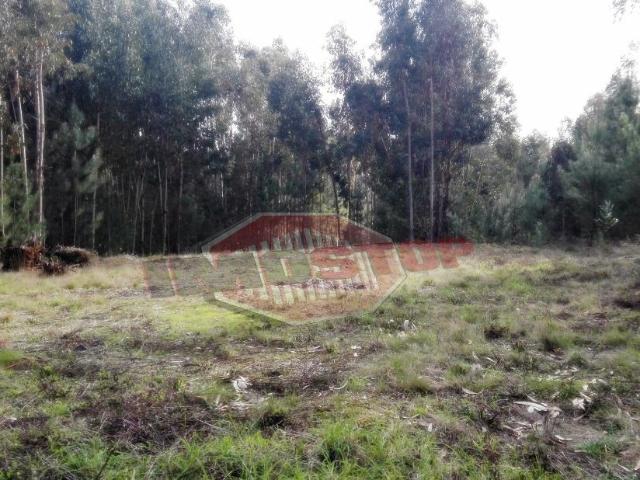 Terreno Oliveira do Bairro