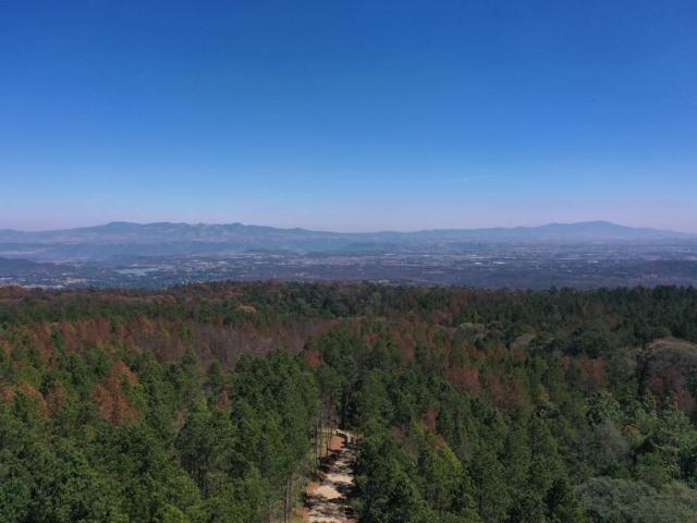 Terreno Omitl?n de Ju?rez