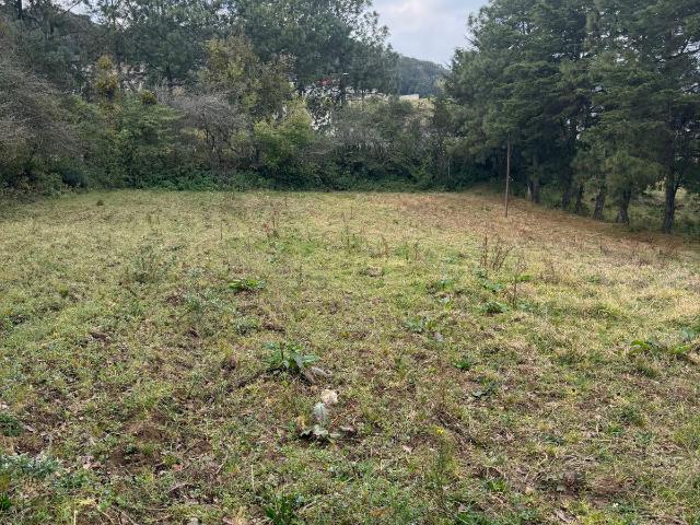 Terreno Ideal para Caba?a con Servicios
