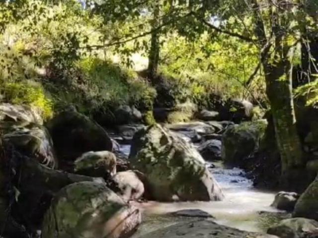 Terreno Omitlán de Juárez