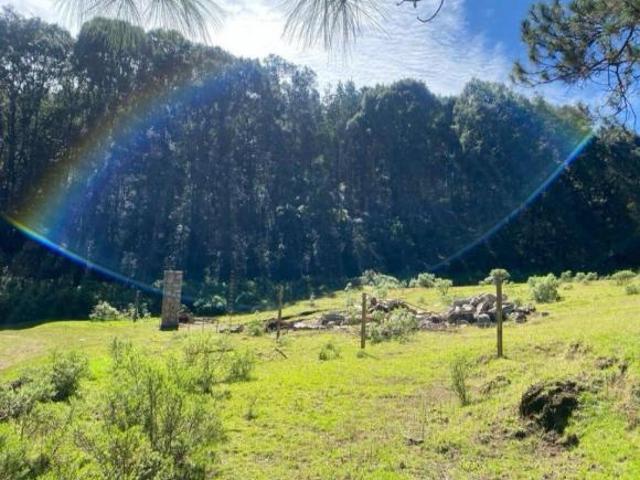 Terreno Omitlán de Juárez
