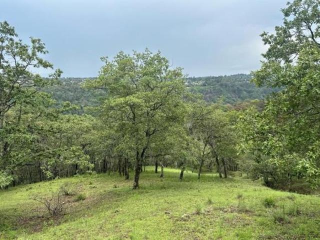Terreno Omitlán de Juárez