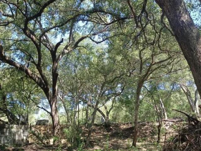 Terreno Oportunidad en Venta, Montemorelos N.L