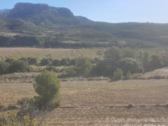 TERRENO OPTIMO PARA CAMPING