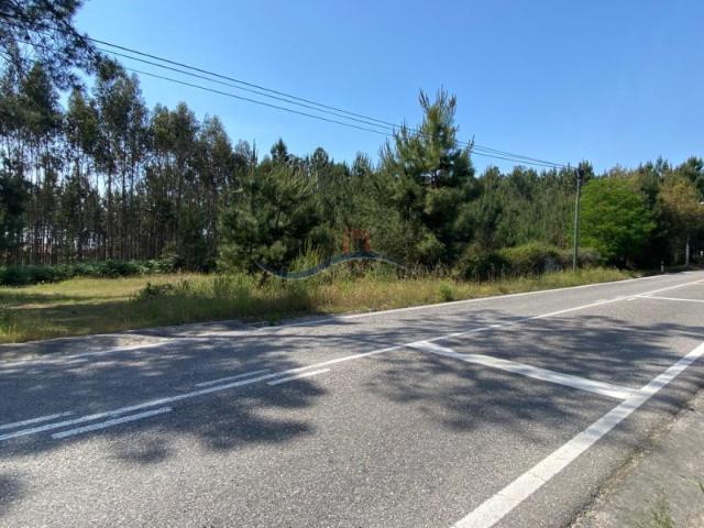 Terreno Ortigosa