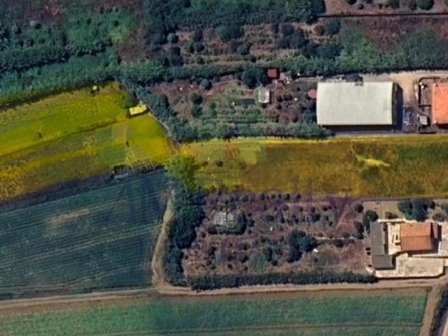 TERRENO | ATOUGUIA DA BALEIA