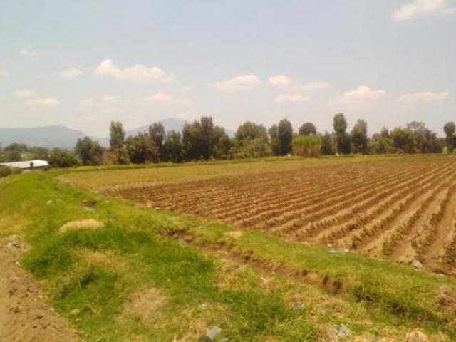 Terreno Atlixco