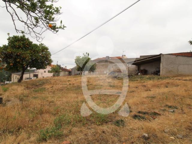 Terreno Avenal