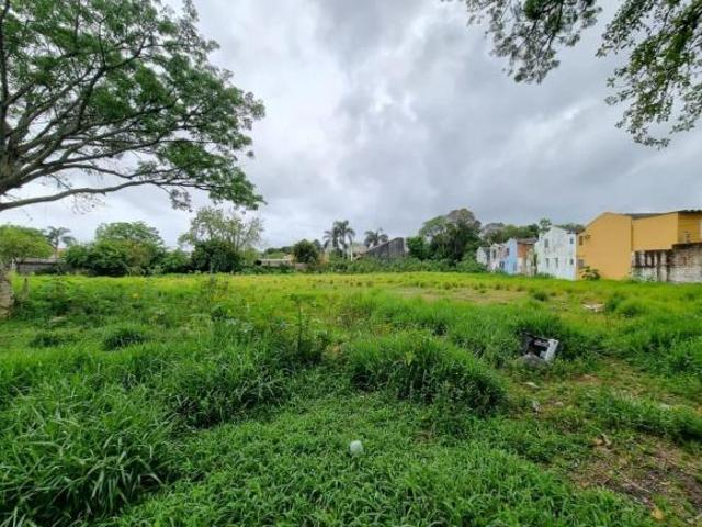 Terreno Avenida Orleans 3.276m² Bairro Guarujá