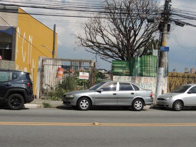 Terreno Avenida Mutinga