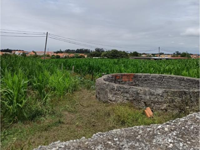 Terreno Aveiro para construção com 4000m2