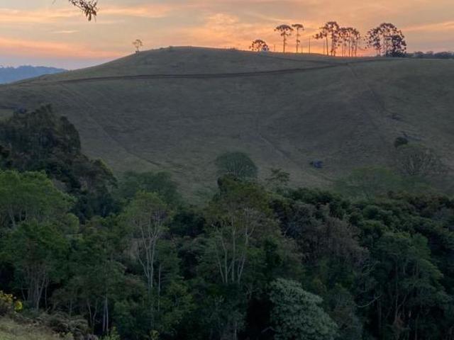 Terreno a 1500m de altitude com água e energia elétrica