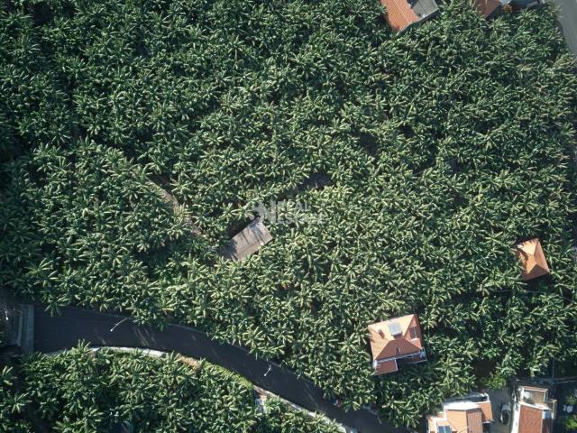 Terreno a 1 minuto a pé da praia