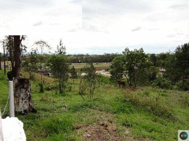 Terreno à 50 metros da Dutra