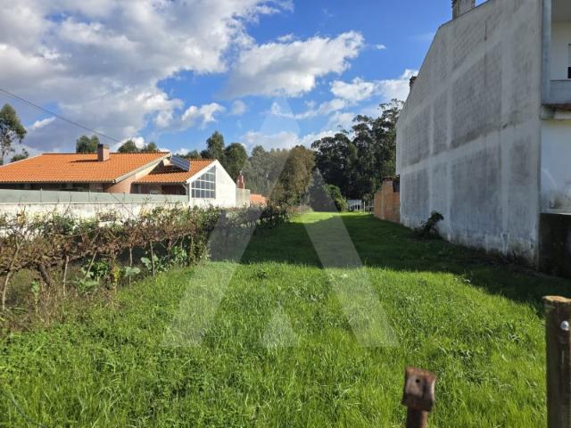 Terreno a 8 minutos da cidade de Aveiro!