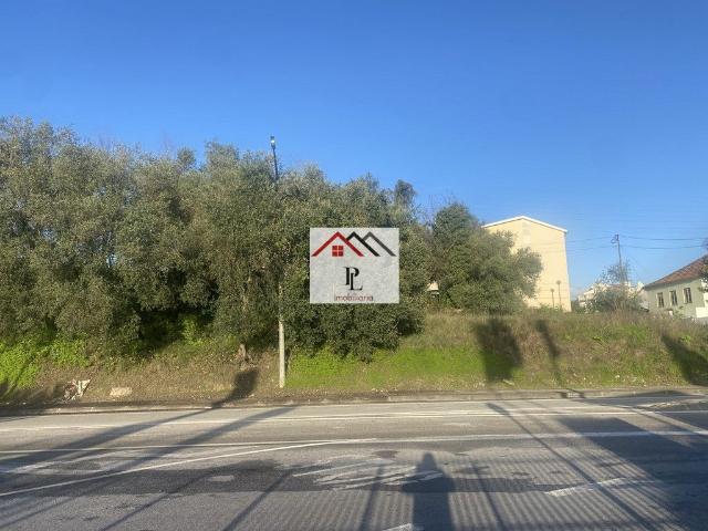 Terreno a entrada de Coimbra V809PL