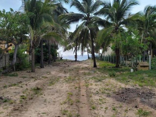 TERRENO A ORILLA DE PLAYA, PLAYA BLANCA PETATLAN