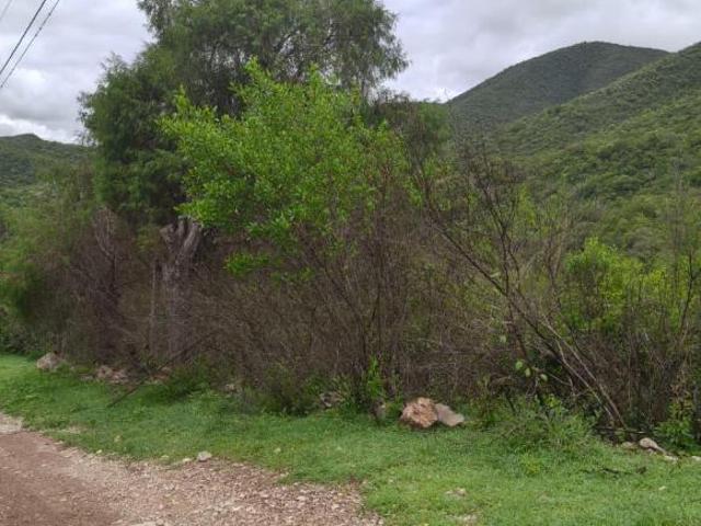 Terreno a Lado de Reserva Natural Ideal Proyecto Ecoturístico