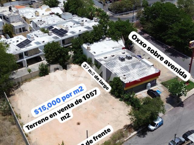 Terreno a lado del oxxo de san Ángelo, Mérida Yucatán