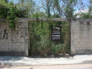 Ejidal Playa del Carmen, Playa del Carmen, Solidaridad Quintana Roo, Quintana Roo