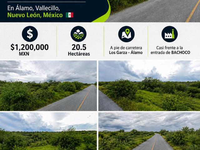 Terreno a Pie de Carretera Totalmente Plano en el Alamo, Vallecillo