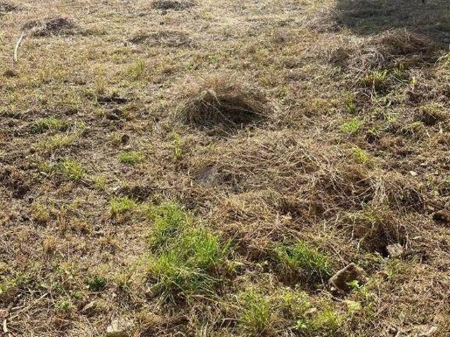 Terreno à venda, 1050 m² por R$ 2.250.000,00 Jardim Popular São Paulo/SP