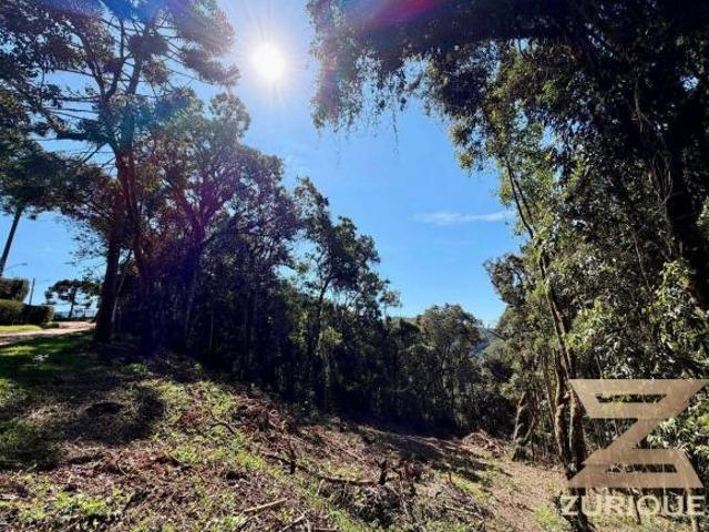 Terreno à venda, 1089 m² por R$ 280.000,00 Parque Pedra do Baú Campos do Jordão/SP