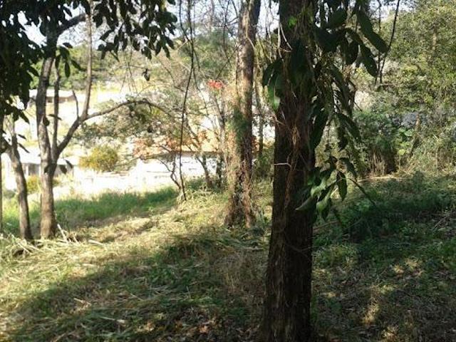 Terreno à venda, 1000 m² por R$ 250.000,00 Jardim Panorama Pedreira/SP