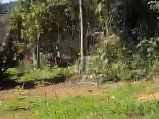 Terreno à venda, 1000 m² por R$ 250.000,00 Rio Abaixo Mairiporã/SP