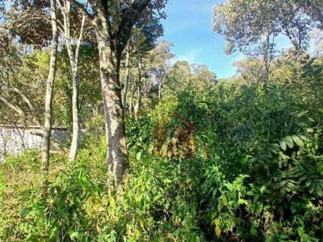 Terreno à venda, 1000 m² por R$ 300.000,00 Los Álamos 2 Vargem Grande Paulista/SP