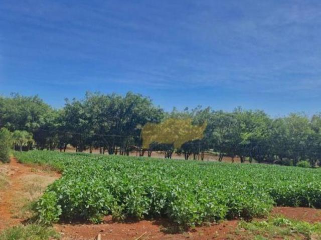 Terreno à venda, 100 m² por R$ 70.000,00 Engenho Velho Cordeirópolis/SP