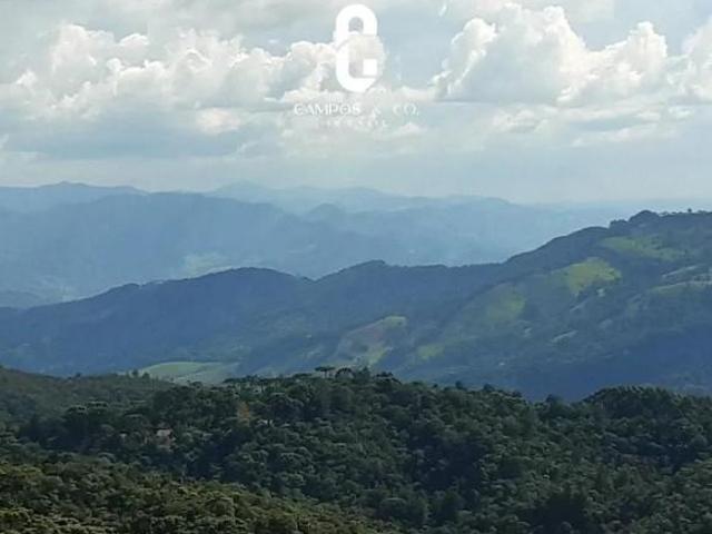 Terreno à venda, 1175 m² por R$ 550.000,00 Parque Pedra do Baú Campos do Jordão/SP