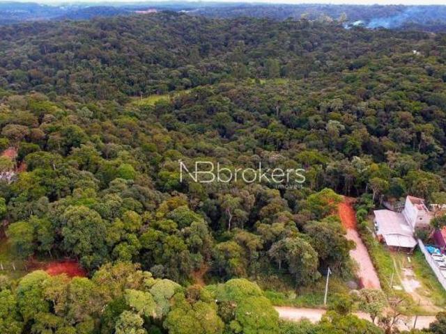 Terreno à venda, 11000 m² por R$ 450.000,00 Área Rural de São José dos Pinhais São José dos Pinh