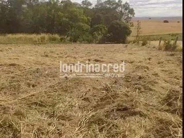 Terreno à venda 1200M², Warta, Londrina PR