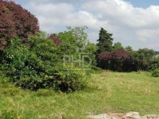 Terreno a venda 12.498,74 m2 Alvarenga SBCampo SP