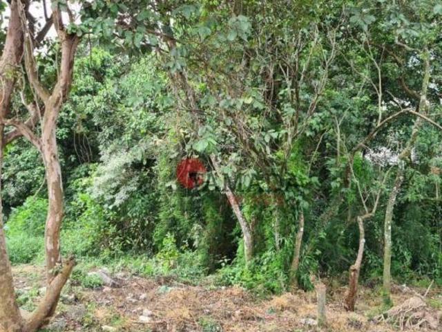 Terreno à venda, 1374 m² por R$ 1.100.000,00 Vila Aurea São Paulo/SP
