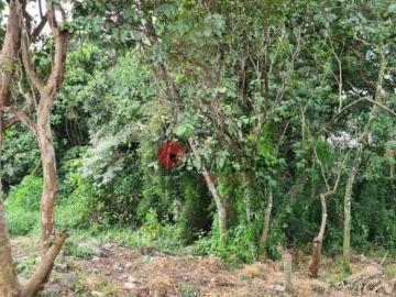 Terreno à venda, 1374 m² por R$ 1.100.000,00 Vila Aurea São Paulo/SP