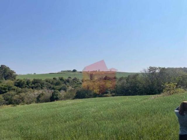 Terreno à venda, 145000 m² por R$ 1.000.000,00 Centro Santo Antônio da Platina/PR